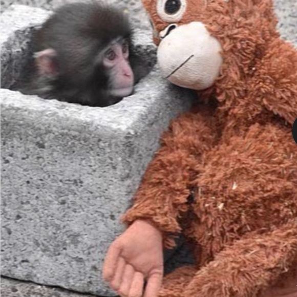 IKEA Djungelskog Monkey Orangutan Plush Stuffed Animal 23” TikTok famous - Picture 2 of 3